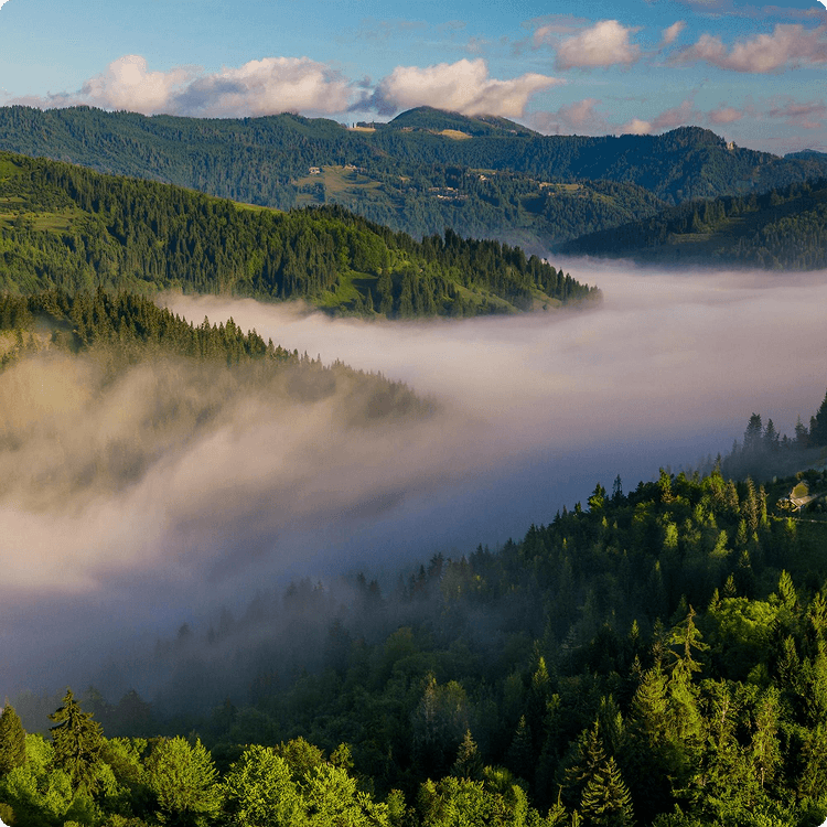 Subnational Governance