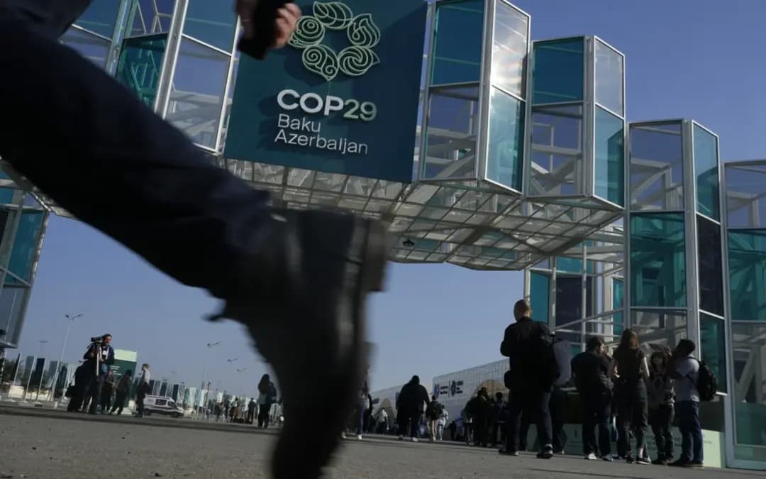 COP29: Climate change must be treated with urgency