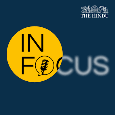 In Focus podcast | Did COP30 deliver on the expectations?