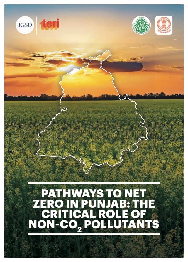 Pathways to Net Zero in Punjab: The Critical Role of Non-CO₂ Pollutants
