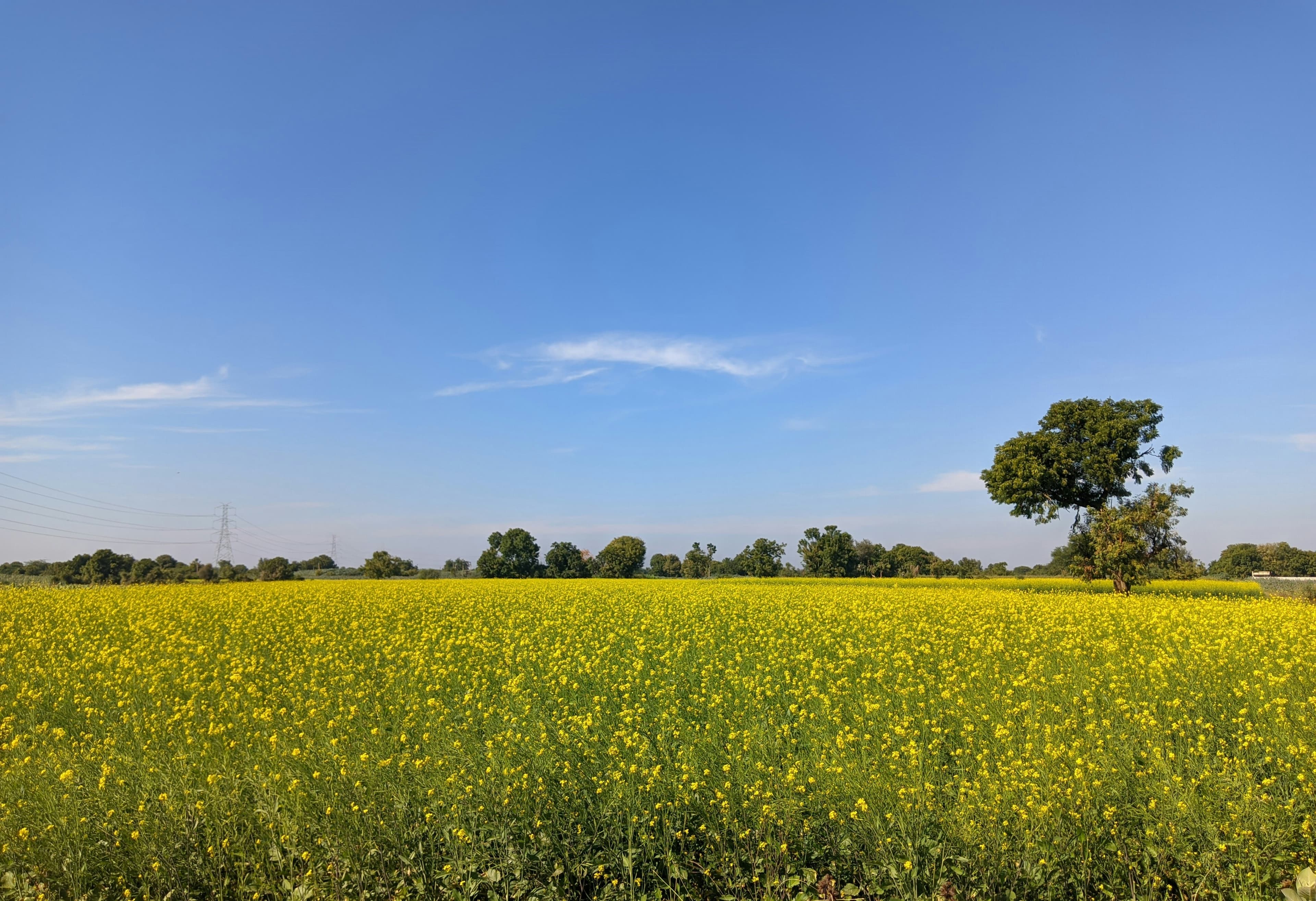Working Title : Pathways To Tackling Non-CO₂ Emissions: Gujarat