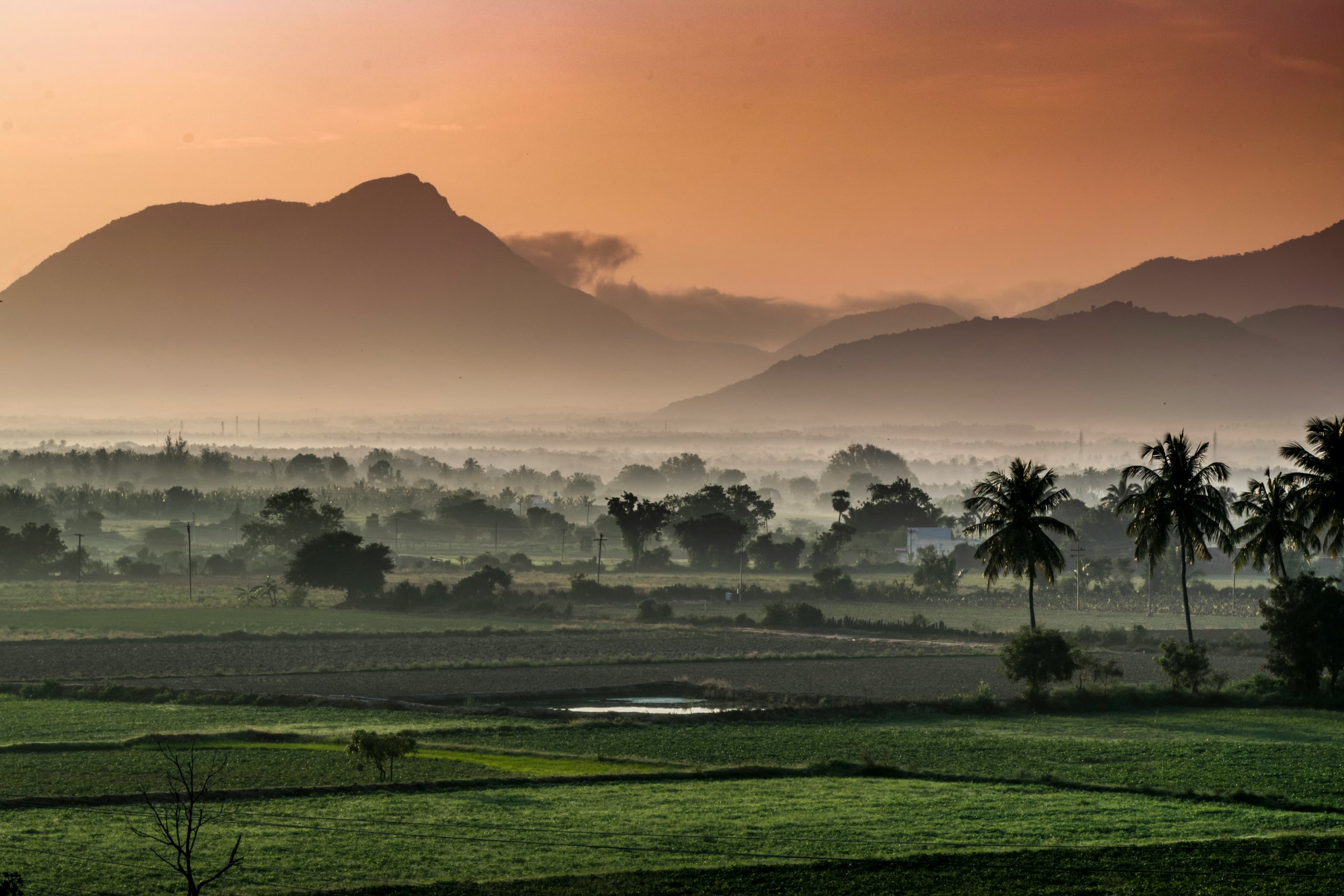 Working Title : Pathways to Tackling Non-CO₂ Emissions: Tamil Nadu