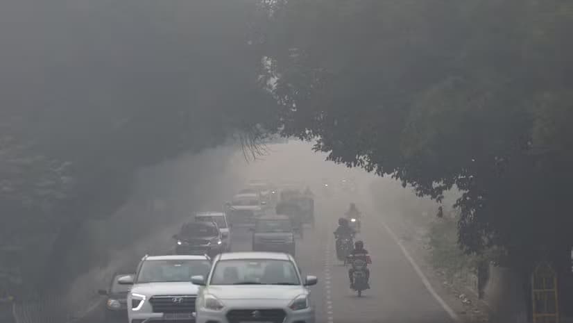 Delhi air turns cancerous: What COP29 experts suggest on pollution crisis